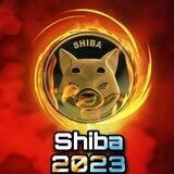 Shiba2023