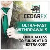 CEDAR FX