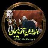 دامداران آذربایجان