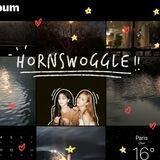 archive h-woggle