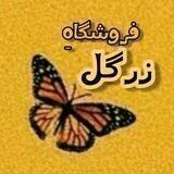فروشگاه زرگل🦋