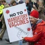 @vaild Vaccinated Card Pfizer / EXCEMPTION SIGN