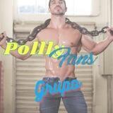Polly-Fans group