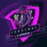 CARDINAL - PUBG