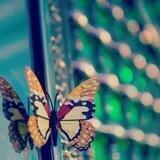 📒استراحة قارئ شيعي📒💐