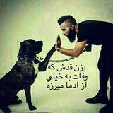اســـــــتامــیــــنـوفــن