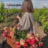 رسـٰ ـايل ، فرحـة 🍒 ◖