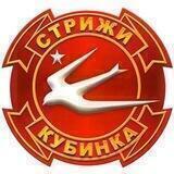 АГВП «СТРИЖИ»