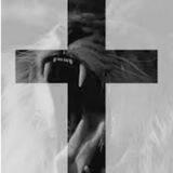 AwkeNotWoke✝️🇺🇸