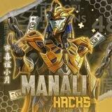 MANALI HACKS 2.1