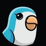Birb 中文社区