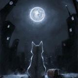 🌙Лунный Волк🐺