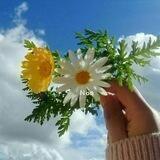عدسة تصوير 💚