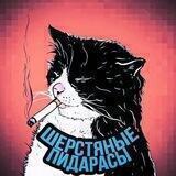 шерстяные пидорасы