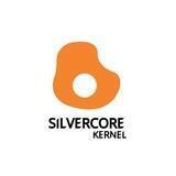 SilverCore Kernel // Discussion //