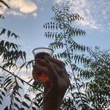 خواطر شاي🤍🌿