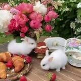 🦄گیف استوری استیکر🦄