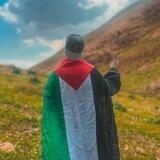 حياة"