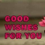 All Good Wishes 🌼🌿
