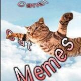 🐈 > CAT MEMES <🐈