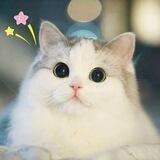 CN-news