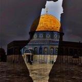 نور الشهداء 🇵🇸