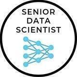 Senior Data Scientist