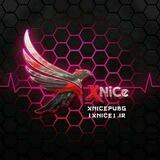 XNiCe Team
