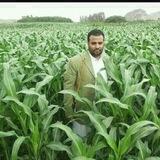 الشاعر//أبويوسف القاري