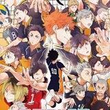 |Aw| H A I K Y U U🏐