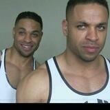 Hodgetwins