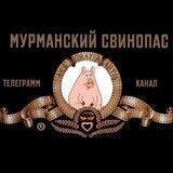 Мурманский свинопас