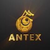 Antex Official