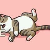 CATFLATION Inu