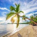 Clasificados Punta Cana