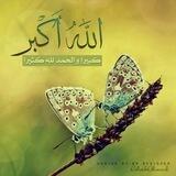 قرآني نبض حياتي 🌹