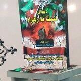 قناةالشاعره ام زهراءالفاطميه