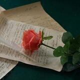 Мои стихи✍️