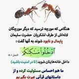 داستان های قرآنی وآیات الهی