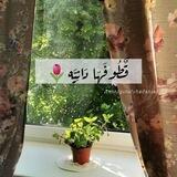 قطـُوفَهَا دَانِيَّـه🍃