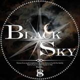 ⎣BLACK SKY⎤