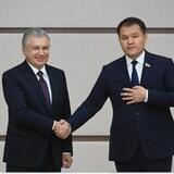 БЮРОКРАТЛИК ТЎСИҚЛАРГА ҚАРШИ КУРАШИШ ЖАМИЯТИ|ТАНҚИД