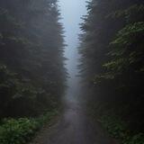 Silence.