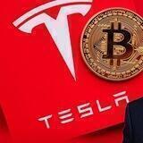 Bitcoin crypto investor (markoptions)