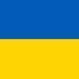 пріколдисік