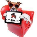 Gladiator_vdonsk