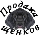Продажа щенков, всех пород