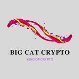Big Cat Crypto Channel