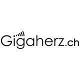Verein Gigaherz.ch - Dringende Warnung vor 5G