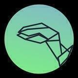 Raptor Swap - A token that fights against climate change